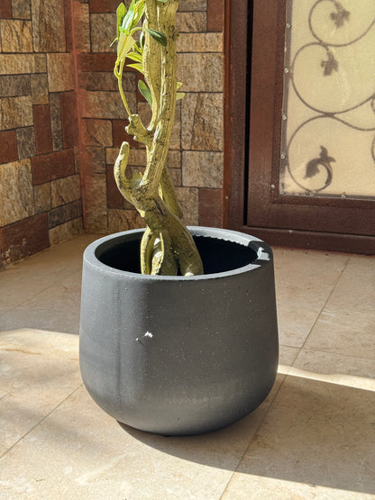 Fiberglass plant pot